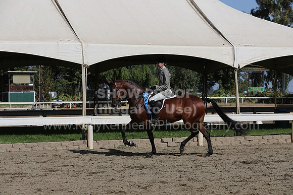 DAHAFall20_Sat_AM_2624
