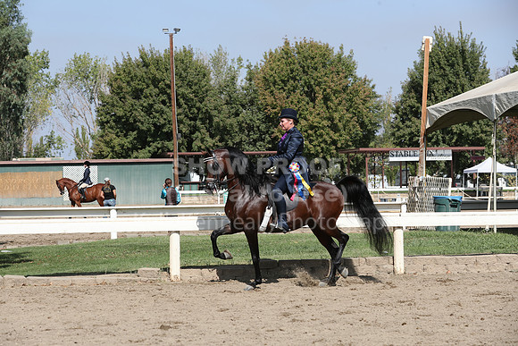 DAHAFall20_Sat_PM_2714