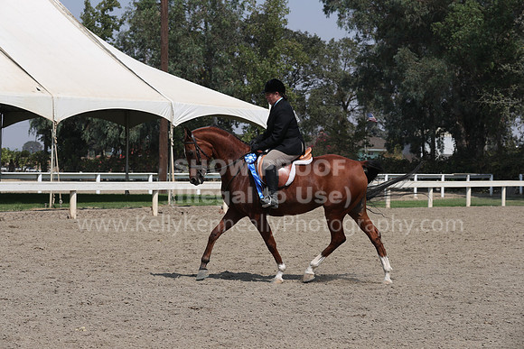 DAHAFall20_Sat_PM_3465