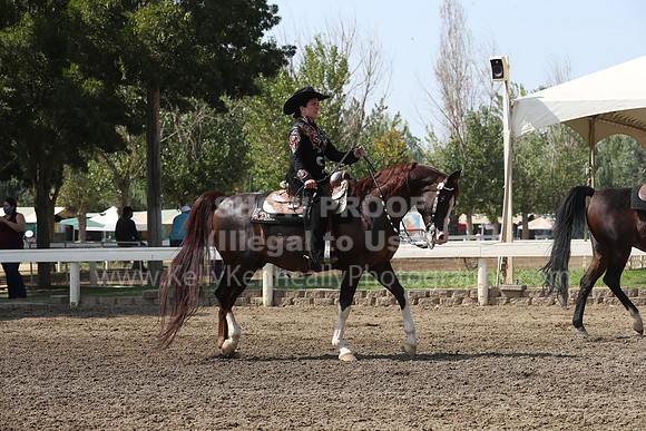 DAHAFall20_Sat_PM_3578