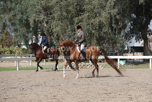DAHAFall20_Sat_PM_4219