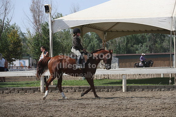 DAHAFall20_Sat_PM_3711