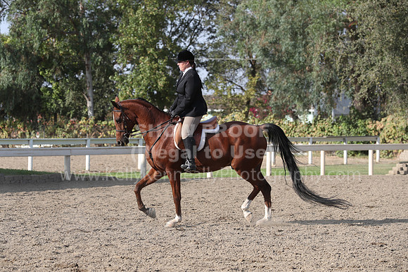DAHAFall20_Sat_PM_Eve_4624