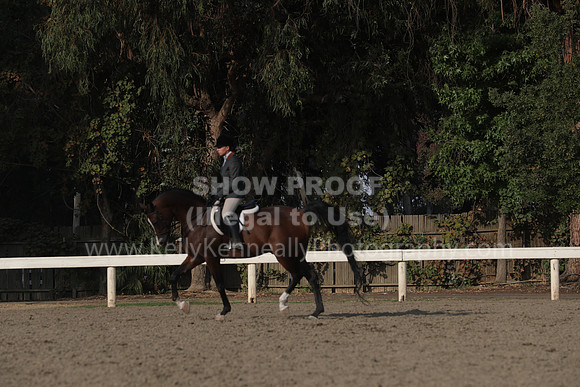 DAHAFall20_Sat_PM_Eve_4809