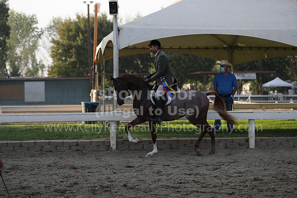 DAHAFall20_Sat_PM_Eve_4982