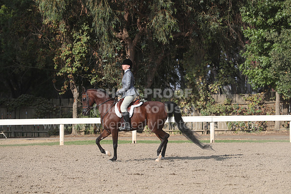 DAHAFall20_Sat_PM_Eve_4696
