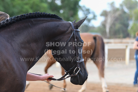 DAHAFall20_SH-6520