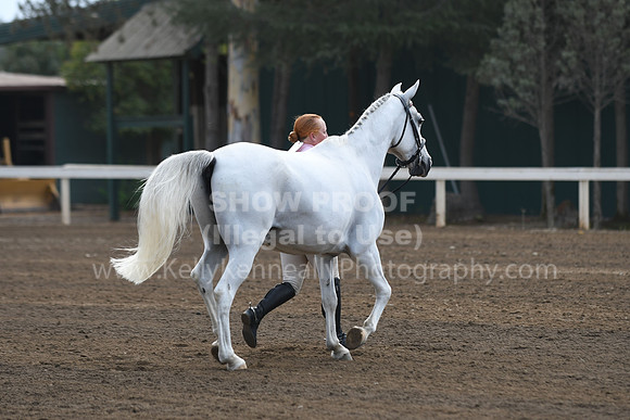 DAHAFall20_SH-6533
