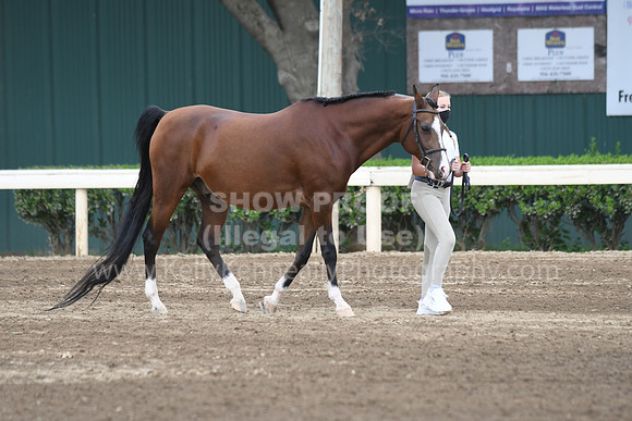 DAHAFall20_SH-6603