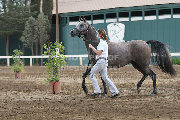 DAHAFall20_SH-6661