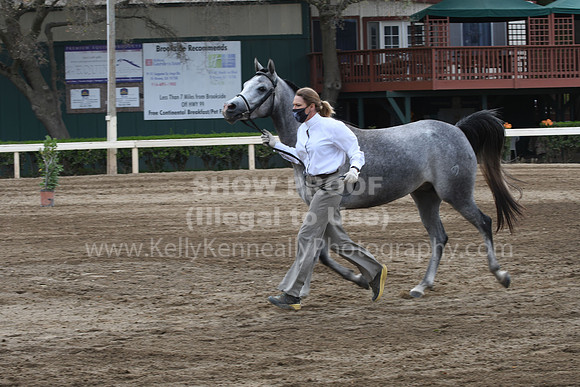 DAHAFall20_SH-6709