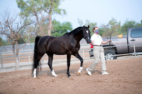 SilverBuckle20_SunAM_4632