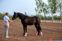 SilverBuckle20_SunAM_4643
