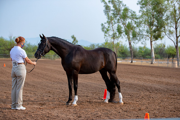SilverBuckle20_SunAM_4643