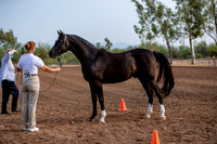 SilverBuckle20_SunAM_4653