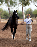 SilverBuckle20_SunAM_4664