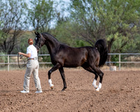 SilverBuckle20_SunAM_4676