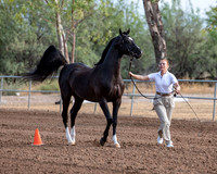 SilverBuckle20_SunAM_4704