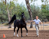 SilverBuckle20_SunAM_4707