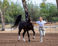 SilverBuckle20_SunAM_4713