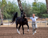 SilverBuckle20_SunAM_4714