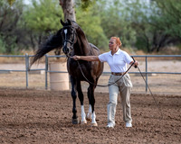 SilverBuckle20_SunAM_4721