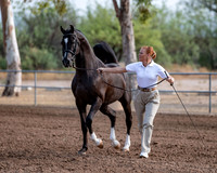 SilverBuckle20_SunAM_4727