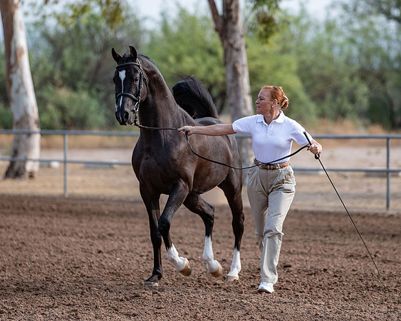 SilverBuckle20_SunAM_4727
