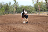 SilverBuckle20_SunAM_4618