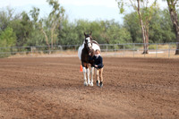 SilverBuckle20_SunAM_4617