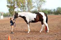 SilverBuckle20_SunAM_4622
