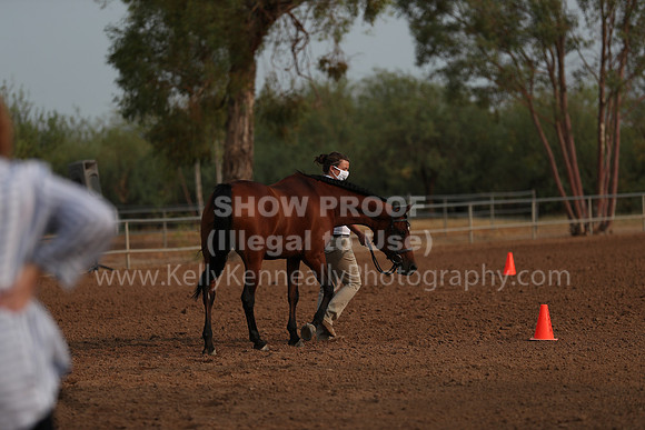 SilverBuckle20_SunAM_4625