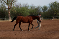 SilverBuckle20_SunAM_4626