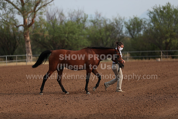 SilverBuckle20_SunAM_4626