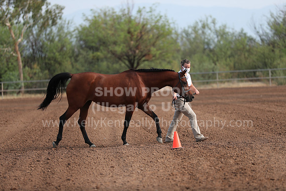 SilverBuckle20_SunAM_4627