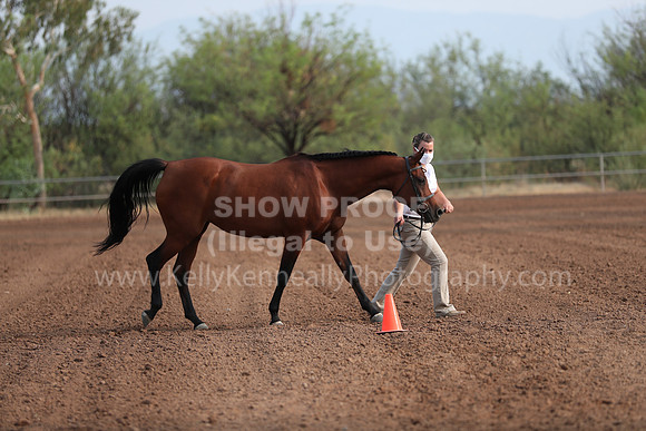 SilverBuckle20_SunAM_4628