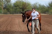 SilverBuckle20_SunAM_4630