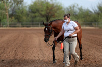 SilverBuckle20_SunAM_4631