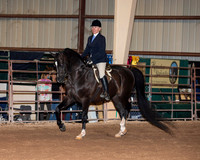 SilverBuckle20_FriPMEve_2748