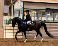 SilverBuckle20_FriPMEve_2769