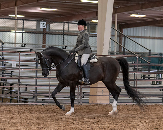 SilverBuckle20_SunAM_5292