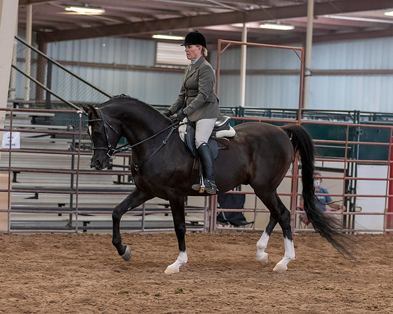 SilverBuckle20_SunAM_5309