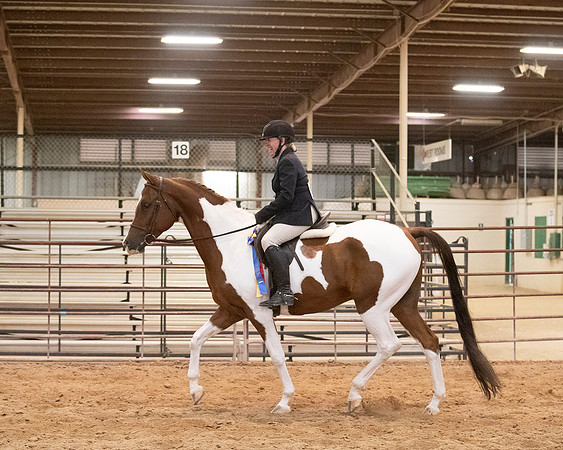 SilverBuckle20_SunPM_6890