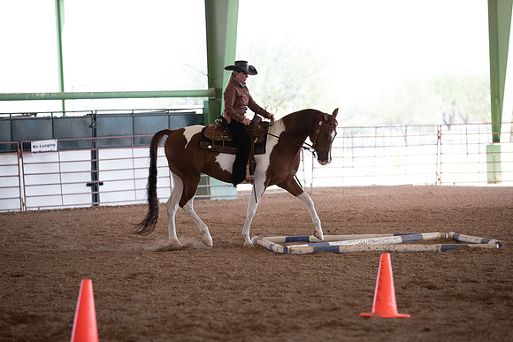 SilverBuckleWesternTrail20-1033