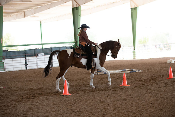 SilverBuckleWesternTrail20-1109