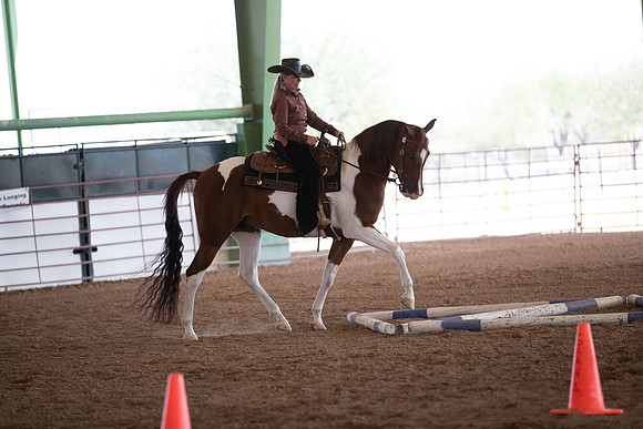 SilverBuckleWesternTrail20-1112