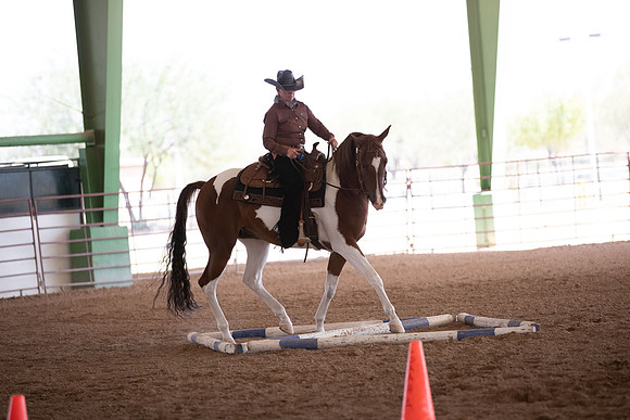 SilverBuckleWesternTrail20-1113
