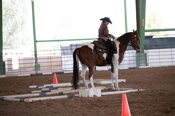 SilverBuckleWesternTrail20-1116