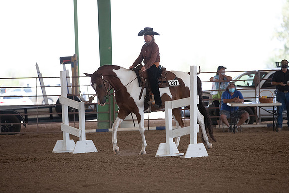 SilverBuckleWesternTrail20-1122