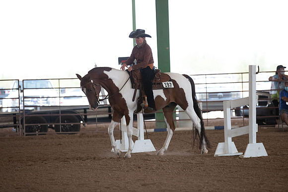 SilverBuckleWesternTrail20-1123
